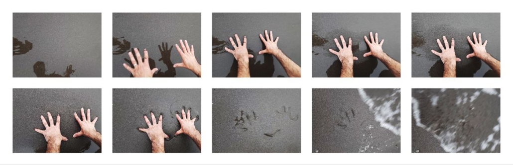 Green Guerrilla nature art by Jahanbakhsh Amirbeygi (10)