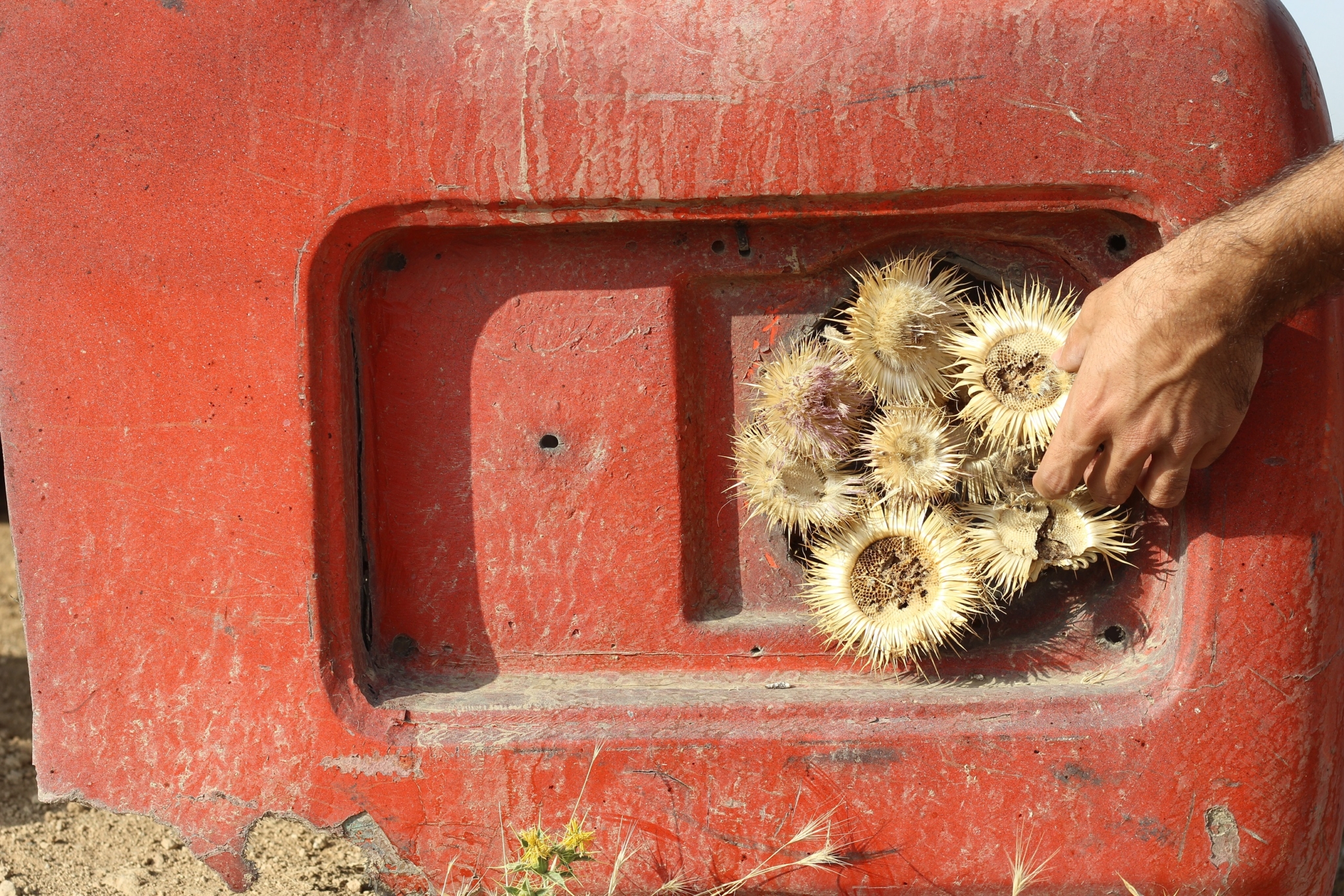 Jahanbakhsh Amirbeygi-جهانبخش امیربیگی