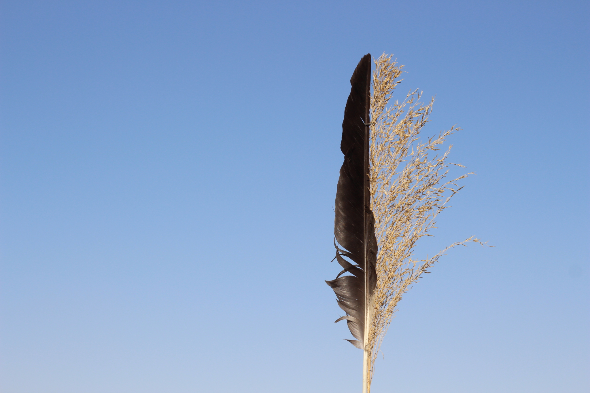 Jahanbakhsh Amirbeygi-جهانبخش امیربیگی