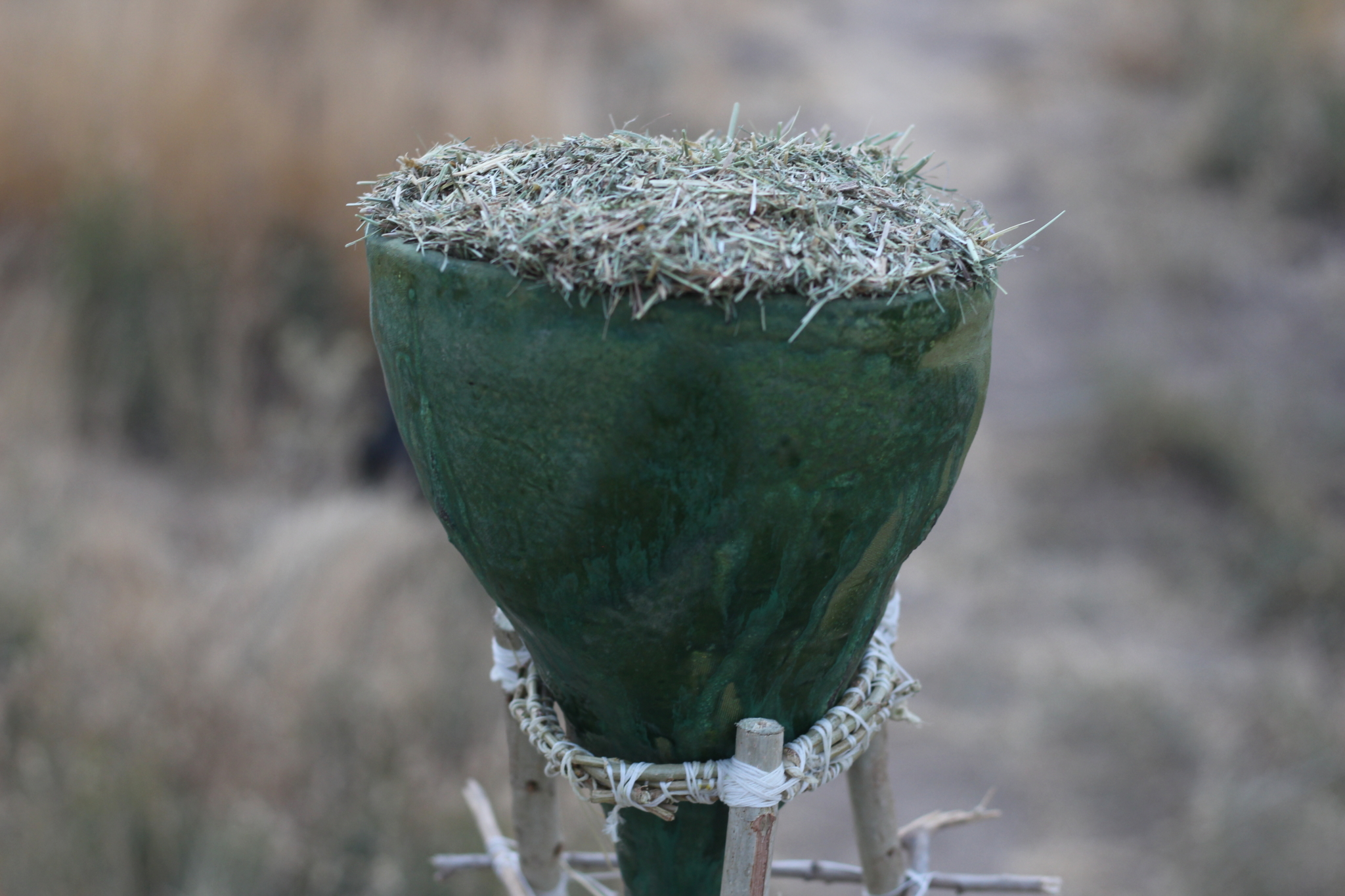 Jahanbakhsh Amirbeygi-جهانبخش امیربیگی