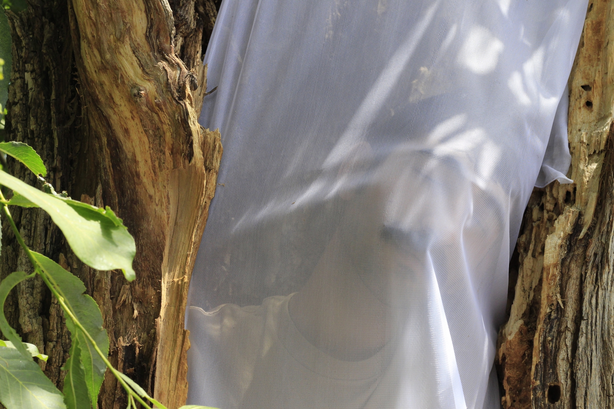 Jahanbakhsh Amirbeygi-جهانبخش امیربیگی