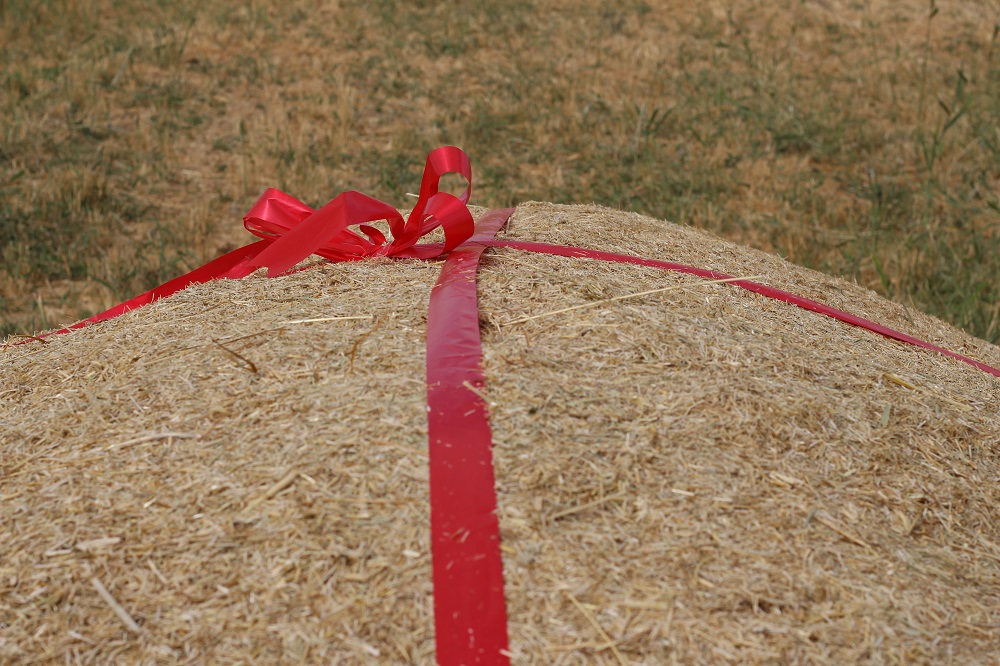 WhatsApp-Image-2019-09-09-at-23.21.14 (1)