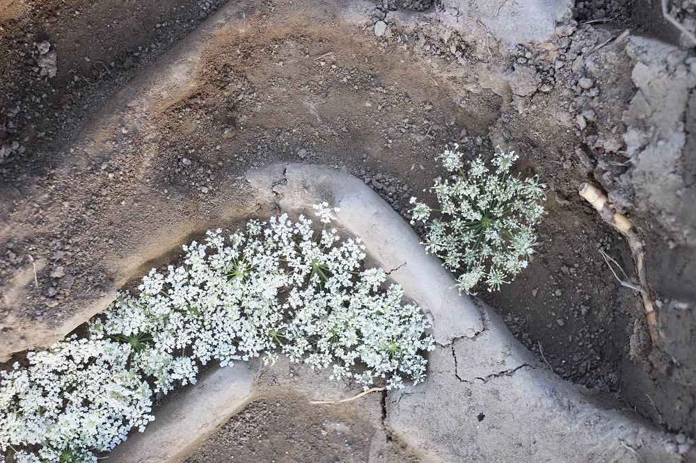 WhatsApp-Image-2019-09-09-at-23.32.481